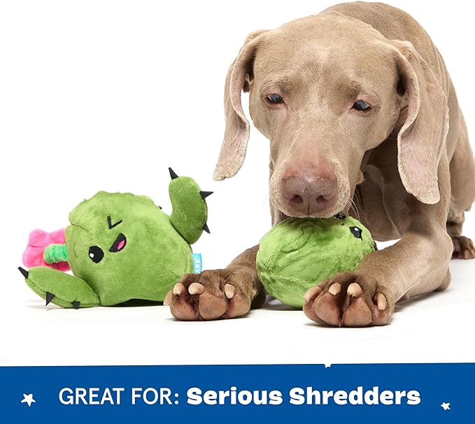 Barkbox 2 in 1 Interactive Plush Dog Toy - Rip and Reveal Toy for Dogs and Puppies - Stimulating Squeaky Pet Toys | Consuela Cactus (Large)