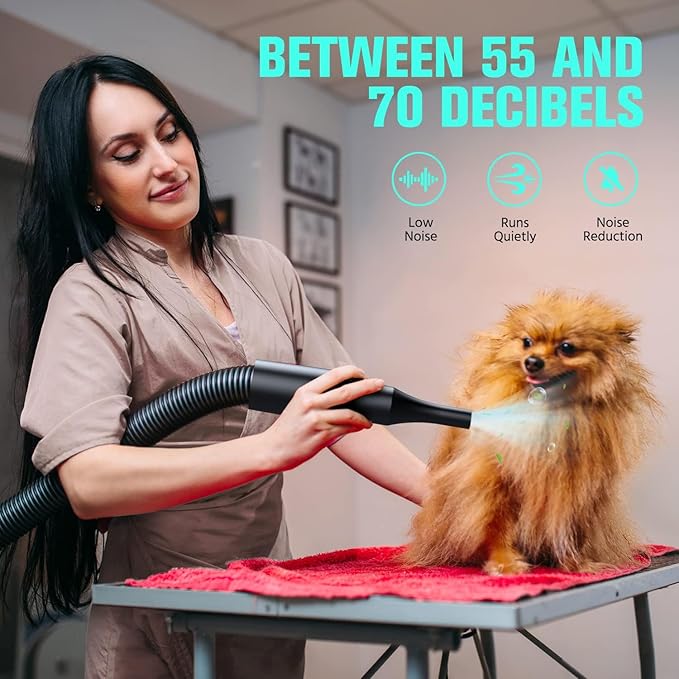 Pet Dryer, 5.2HP/3800W Pet Grooming with Adjustable Speed and Temperature Control Dog Blow Dryer, Pet Hair Dryer with 3 Nozzle