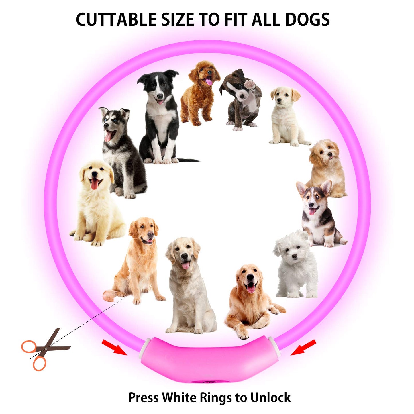 2-Pack LED Dog Collar, Light Up Dog Collars,Rechargeable Dog Lights for Night Walking，Universal, Reusable Safety Necklace for Small Medium Large Dogs RED&Pink