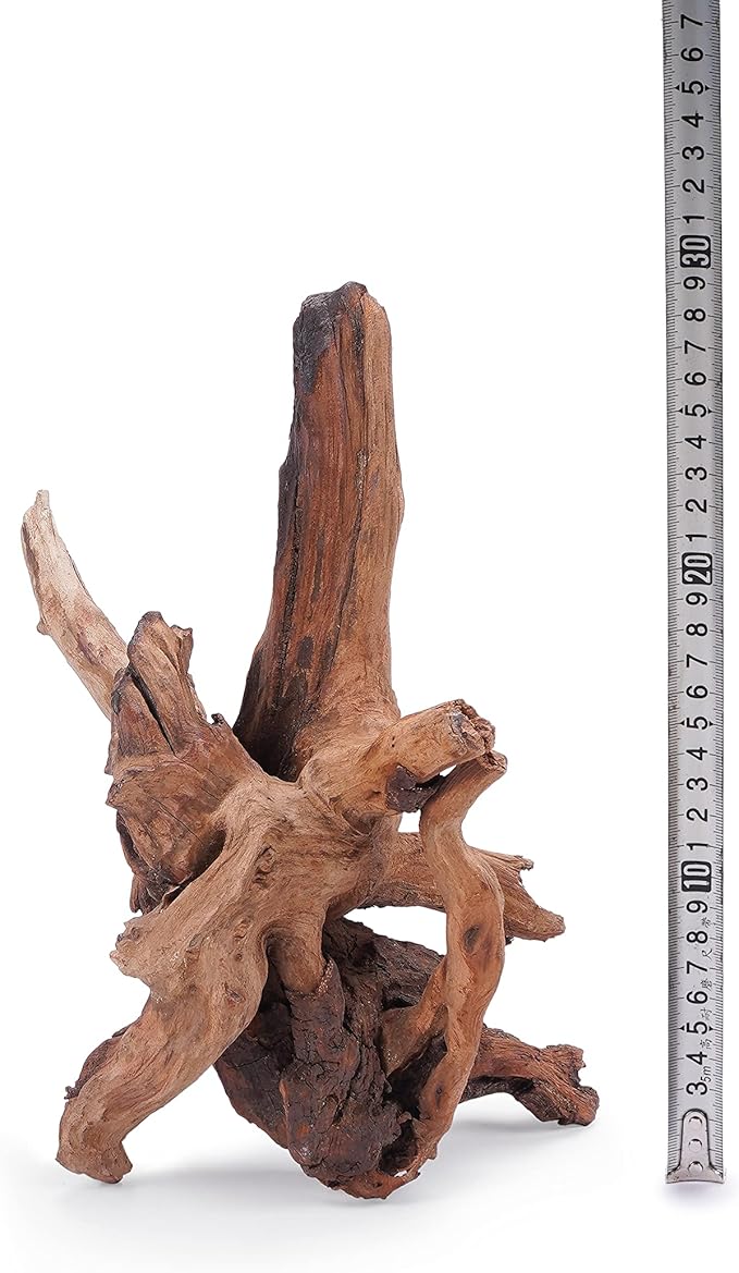LANDEN Panna Natural Driftwood for Aquarium Decor Freshwater Fish Tank(12-14 inches, 30-35cm) 4pcs Terrariums Vivariums Reptile and Amphibian Enclosures Lizard Bearded Dragon Tortoise Various Shapes