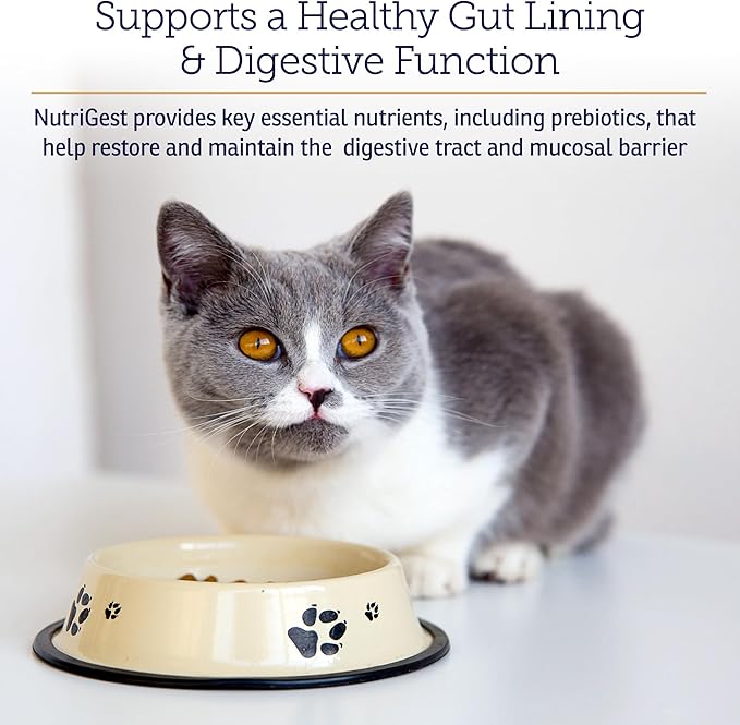Rx Vitamins NutriGest - Dog Probiotics for Digestive Health - Probiotic for Cats - Cat Digestive Support,Anti Diarrhea for Cats and Dog Gas Relief - Probiotics for Dogs Powder - 4.65oz