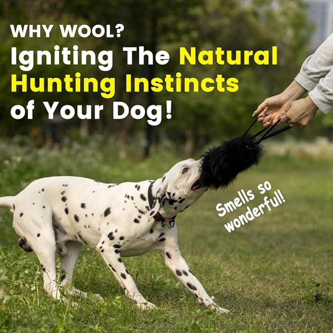 HOWGO Dog Bungee Chaser Toy Double Handles Natural Sheepskin Fur for All Breeds(Orange,2Pack)