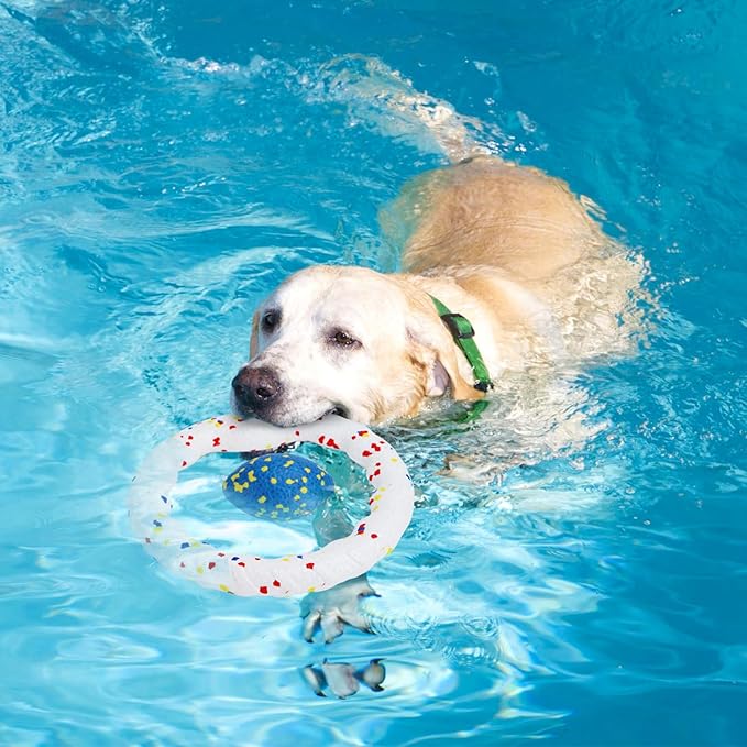 Nobleza Indestructible Fly Disc Ball Toy Set for Dog Pet, 2025 New Poncorn E-TPU Durable Puppy Fetch Outdoor Interactive Toy for Large Medium Small Aggressive Chewers, 4 PCS