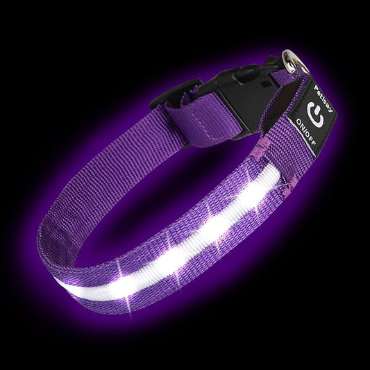 Super Bright LED Dog Collar - Fully Waterproof & Adjustable Glow Collar - USB-C Rechargeable for Night Walking, Safety - Flashing Lighted Collar for Dogs(Purple,Small)