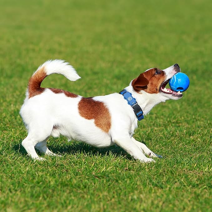 SUOFEIYA GPS Pet Tracker，Real-time Tracker for Dogs，Activity & Fitness Monitor，Virtual Fence，Waterproof，LED Light