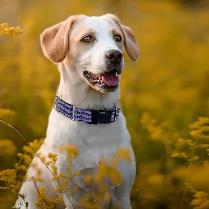 Hikiko Martingale Dog Collars Reflective Nylon Dog Collar with Quick Release Buckle Adjustable Training No Slip Dog Collar (Large, Lavender)