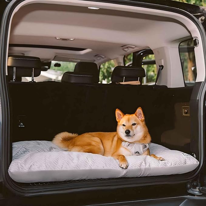 FUNNY FUZZY Washable Dog Bed,Reversible Plush Dog Crate Mat, Soft Fluffy Kennel Pad,Pet Sleeping Mattress for Large,Jumbo,Medium Sized Dogs Breeds,Indoor Cats,41.7" × 28.3", Light Grey