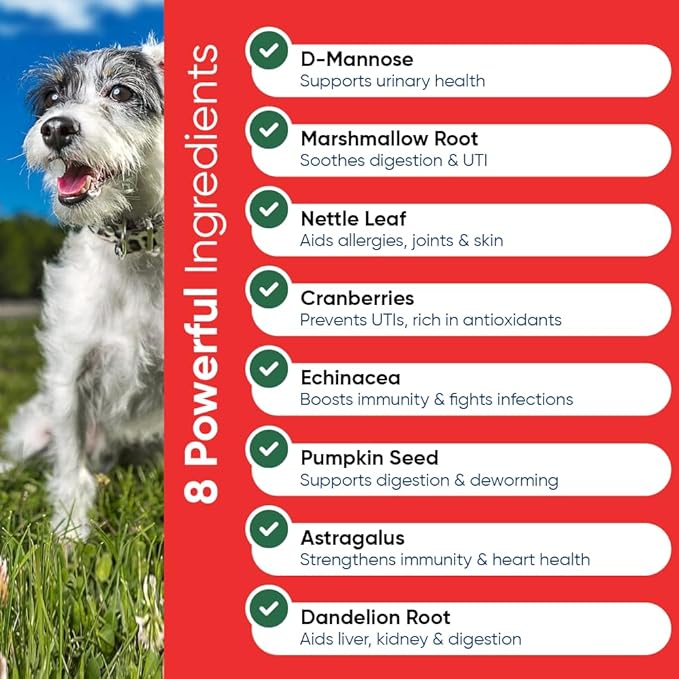 iHeartDogs Extra Strength Urinary, Bladder, & Kidney Support for Dogs – Cranberry, D-Mannose & Echinacea Helps Frequent UTIs, Strengthens Weak & Incontinent Bladder