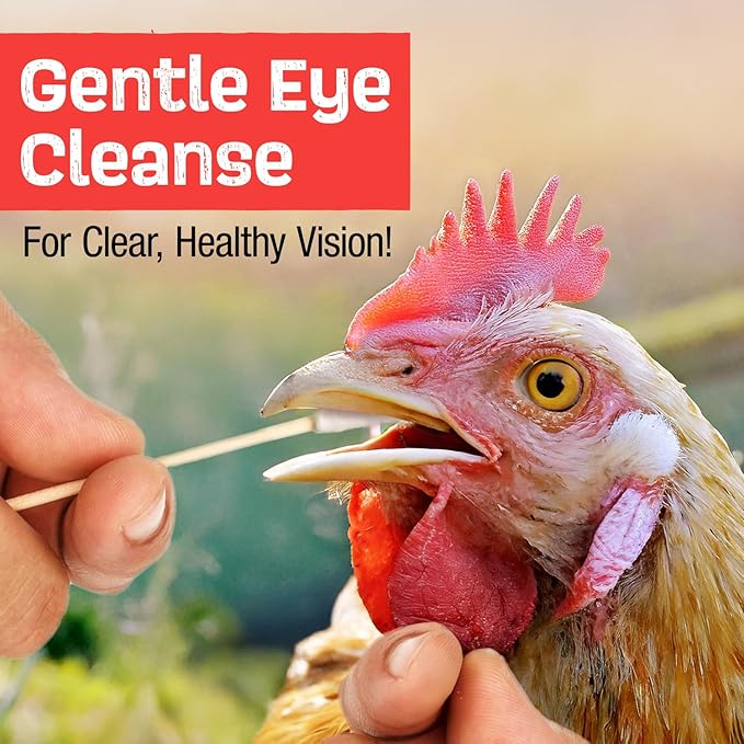 Flock Shield Respiratory Aid for Poultry - [Made in USA] - 4oz Chicken Supplement, Rooster Booster for Respiratory System - Dropper, Spray Top Included - Safe for All Birds - Drinking Water Additive