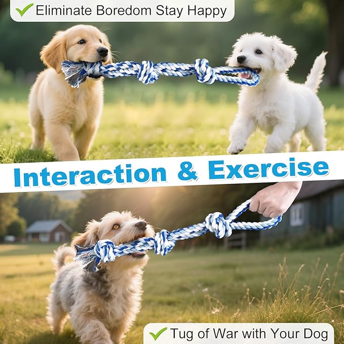 Interactive Dog Ball, Interactive Dog Toys, Moving Dog Ball with Touch Activated for Small Medium/Puppy Dogs, Moving Dog Toys with Rope for Boredom Relief Daily Training, USB Rechargeable