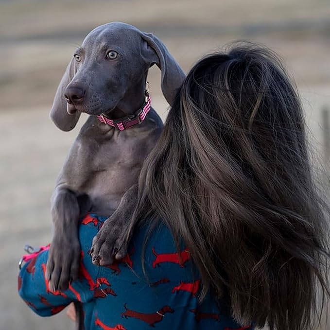 Hikiko Martingale Dog Collars Reflective Nylon Dog Collar with Quick Release Buckle Adjustable Training No Slip Dog Collar (Small, Pink)