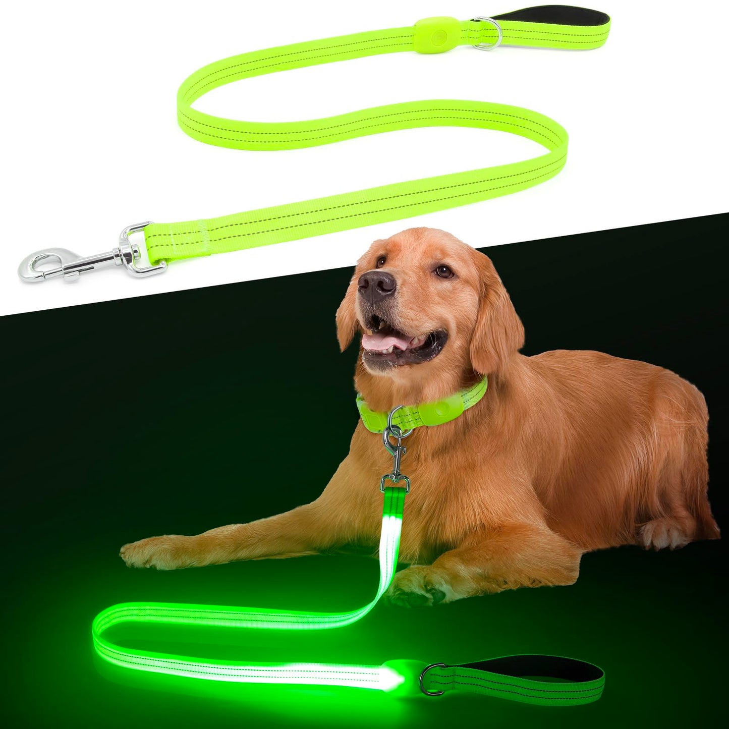 LED Dog Leash, Light Up Dog Leash 4 Ft Fully Illuminated USB Rechargeable Waterproof, Nylon Reflective Leashes with Padded Handle for Dogs Night Walking, Safety Glow in The Dark for Large Medium Pets