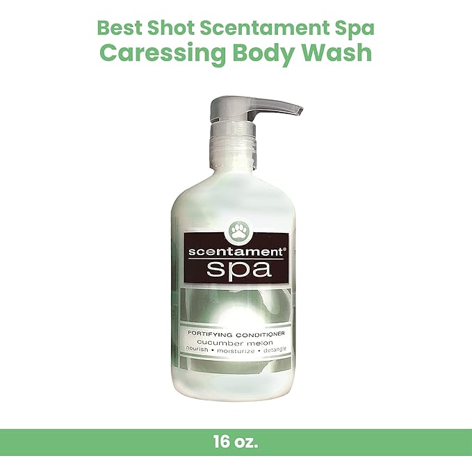 Best Shot Scentament Spa Caressing Body Wash, Cucumber Melon, 16 oz