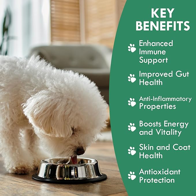 HOLISTIC BIN Canine Super Immune Support - Dog Multivitamins & Supplements with Beet, Chlorella, Mushroom Complex (Reishi, Maitake, Turkey Tail) - for Immune Function & Overall Health - 100g Powder