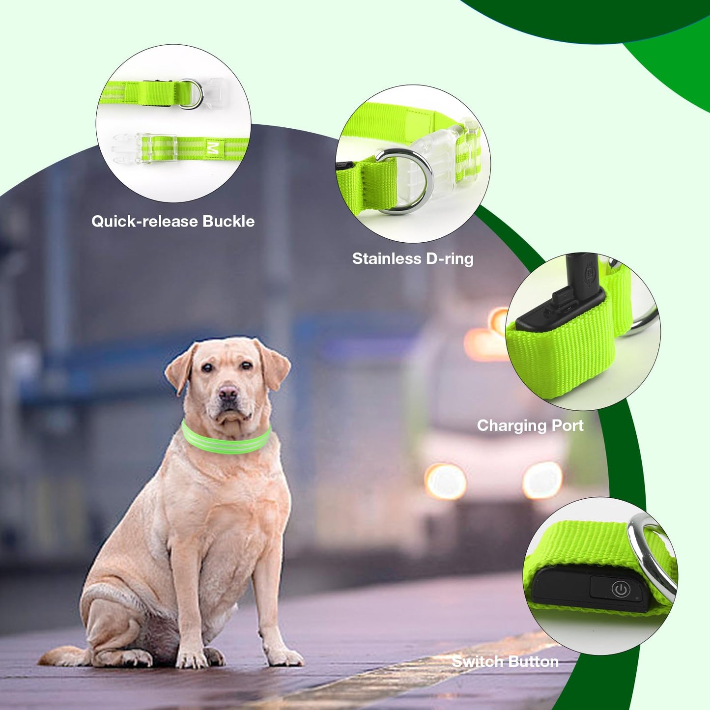 LED Dog Collar, Light Up Dog Collar, Lighted Dog Collars Adjustable for Night Walking, Glow in The Dark Dog Collars Light with USB Rechargeable Color Changing Waterproof for Dogs (Green, Small)