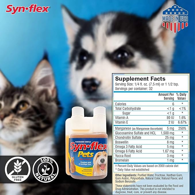 Concentrated Liquid Glucosamine for Dogs & Cats with Chondroitin: 1500mg High Potency, Boswellin, Yucca, Manganese for Mobility Support - USA Made, Beef Flavor