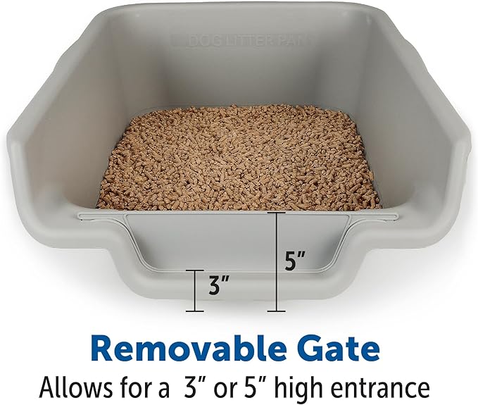 KittyGoHere Senior Cat Litter Box 1 Pack, Jumbo Gray Low Entrance Kitty Litter Box, Sized for Cats Comfort, Perfect for Senior and Arthritic Cats, Made in USA