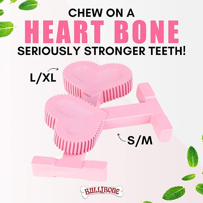 Bullibone Nylon Dog Chew Toy Nylon Bone - Improves Dental Hygiene, Easy to Grip Bottom, and Permeated with Flavor (Peppermint, Small - Single)