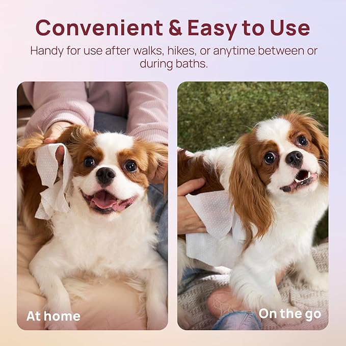 HICC PET Cleaning Deodorizing Wipes for Dogs & Cats, Vet Recommended Nourishes Smoothes Fur Pet Grooming Wipes with Fermented Coconut Oil (400 Counts (Thicken), Rose)