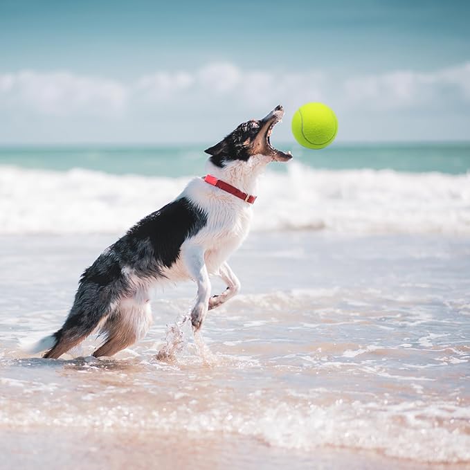 Magicorange Large Tennis Balls for Dogs, 6 Pack 4 Inch Big Tennis Ball Pet Chew Toy Large Balls for Outdoor/Indoor Sports (Multicolor, 6 Pack)
