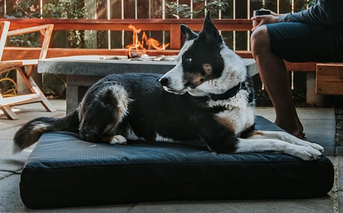 K9 Ballistics Tough Ripstop Orthopedic Rectangle Dog Bed Removable Washable Cover, Solid Orthopedic Foam for Size XXL Giant Big Dogs 68"x40", Light Gray Velvet