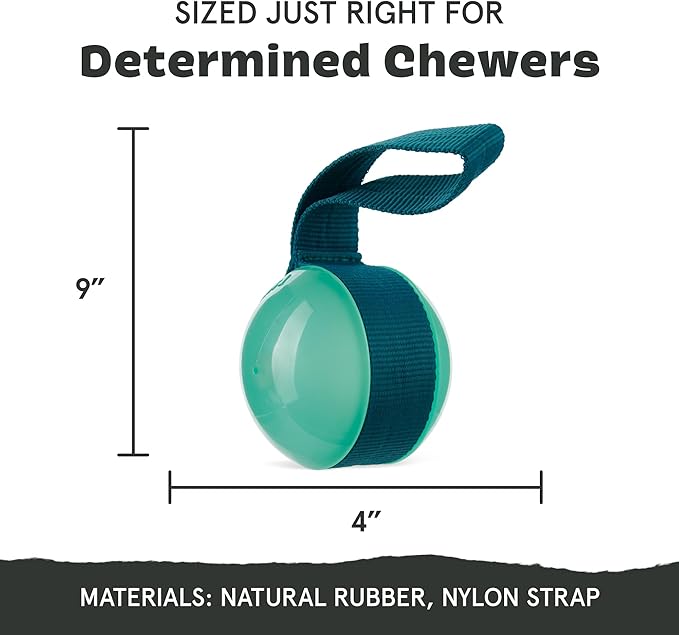 Barkbox Super Chewer Rope Dog Toy for Aggressive Chewers with Reinforced Strap (Tailspin - Large)