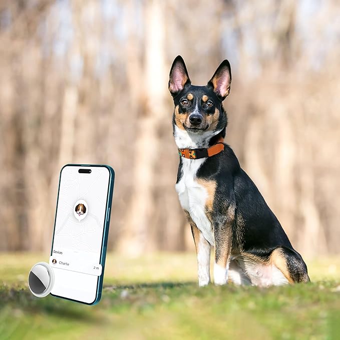 AirTag Dog Collar with Metal Buckle - Soft Leather Printed Nylon Dog Collar with Apple AirTag Holder - Cute Tracking GPS Pet Collars for Girl Boy Small Large Dogs (M, 14"-18" Neck Fit, Southwest)