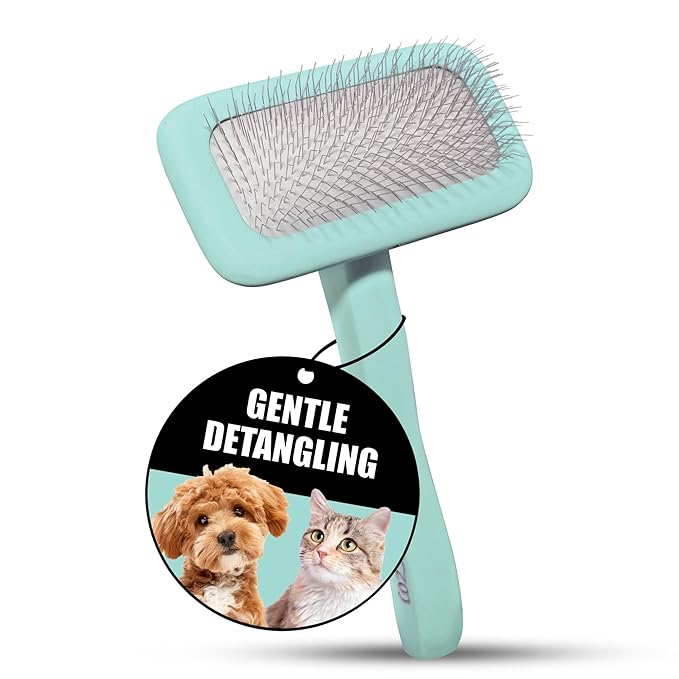Tauro Pro Line Wooden Deshedding Dog Brush for Long Goldendoodle, Labradoodle & Poodle Hair - Mint Slicker Brush for Dog & Cat Grooming - Rectangular Flexible Cushion & Non-Slip Grip, M
