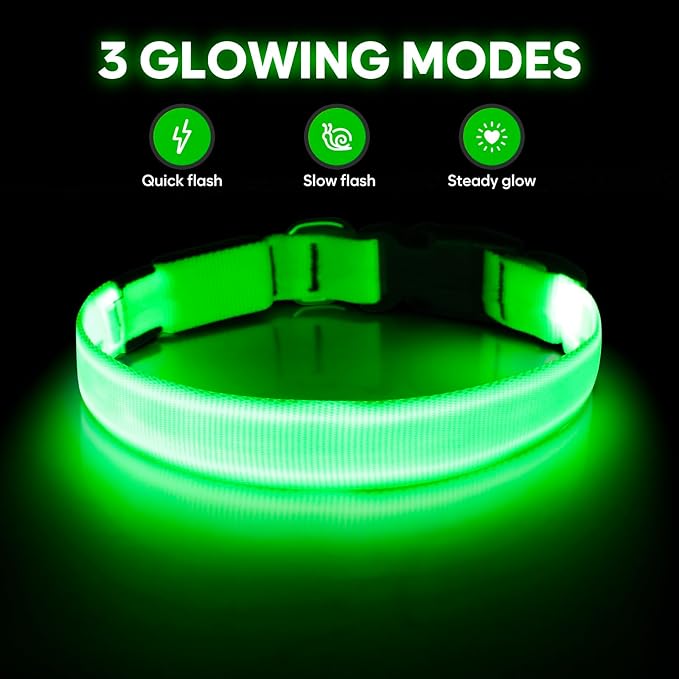 Illumifun Light Up Dog Collar, USB Rechargeable LED Dog Collar Glow in The Dark，Adjustable Pet Safety Lights for Night Walking (Green, Medium)