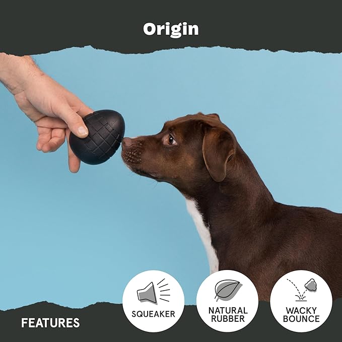 Barkbox Super Chewer Tough Dog Chew Toys for Aggressive Chewers, Treat Dispensing (Origin - Large)