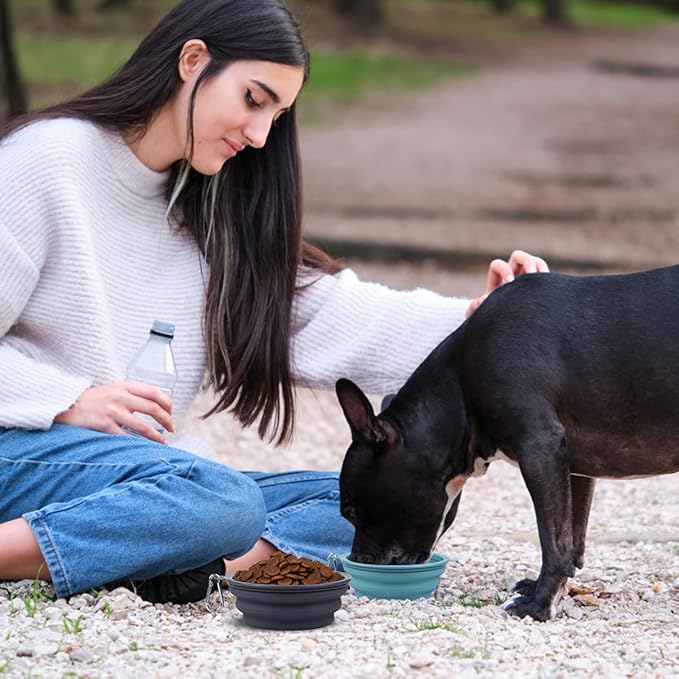 Kytely Collapsible Dog Bowls 2 Pack (650ml) - Portable Travel Pet Food & Water Bowls with Carabiner Clip, Foldable Feeding Dish for Dogs Cats, Hiking Walking Camping (Blue+Grey)