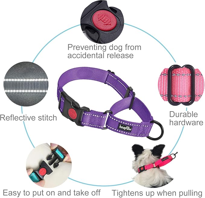 haapaw 2 Packs Martingale Dog Collar with Quick Release Buckle Reflective Dog Training Collars for Small Medium Large Dogs (Large, Purple/Purple)