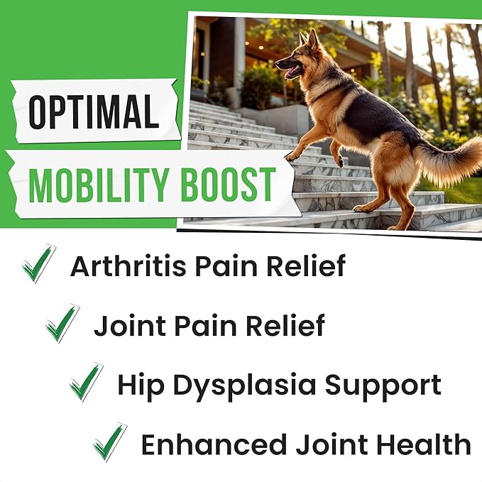 Advanced Hemp Hip & Joint Supplement for Dogs - Glucosamine for Dogs - Dog Joint Pain Relief Treats - Chondroitin Turmeric MSM Hemp Oil - Hemp Treats for Joint Health - Senior Mobility Support Chew