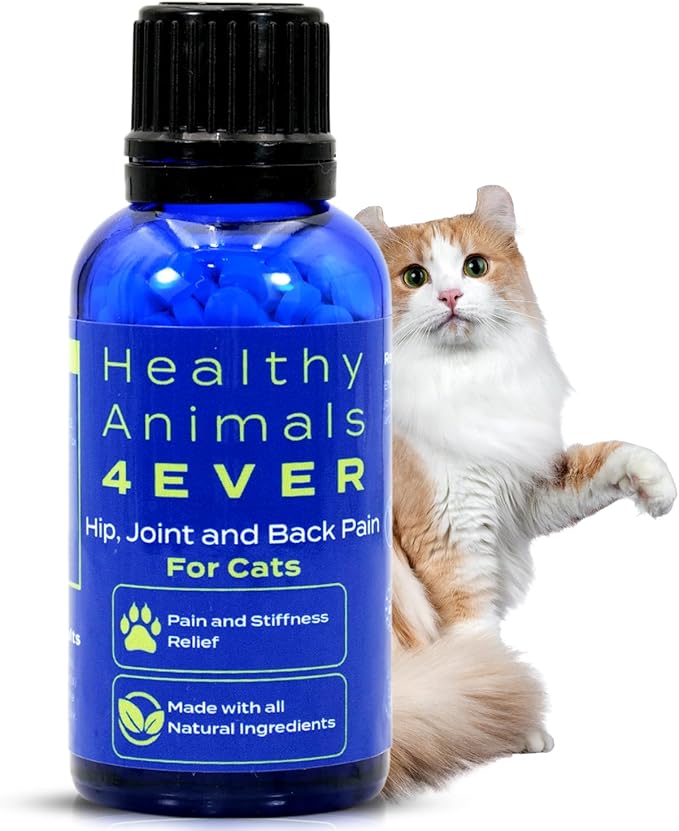 HA4E - Cat Arthritis Remedy - Supports Hip & Joint Health - Helps Minimize Pain & Restore Mobility - All-Natural, Non-GMO, Organic, Preservative & Chemical-Free - 300 Tablets