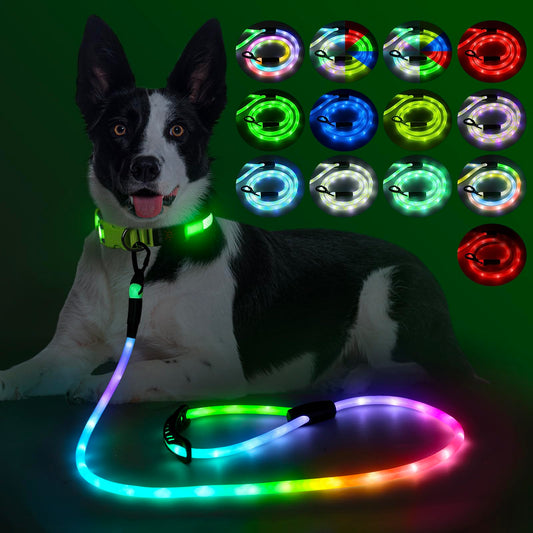 YFbrite Waterproof Light up Dog Leash with 13 Flashing Modes - Super Bright LED Dog Leash for Small Medium Large Dogs - Type-c Rechargeable Dogs Leashes Light (Multi-Color, 5FT (150cm))