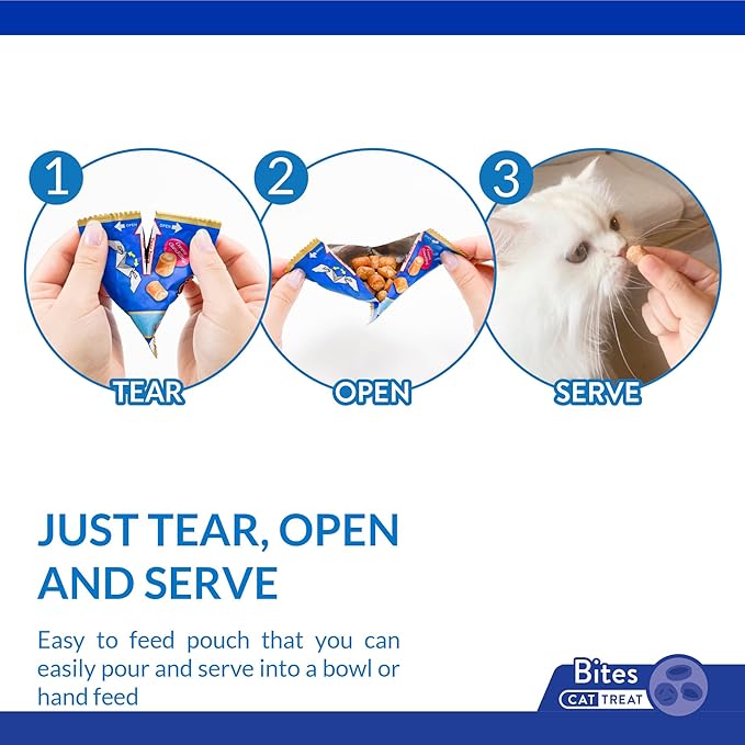 INABA Churu Fun Bites for Cats, Soft & Chewy Cat Treats with Taurine, 0.42 Ounces Each Tetra, 18 Tetras (3 per Bag), Tuna with Cheese Recipe