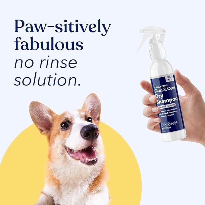 Honest Paws Dog Dry Shampoo - Waterless No Rinse Spray Formula Reducing Itch Cleanse Hydrate Nourish Dry Skin and Smelly Coat Help Decrease Odor Shedding and Allergies - Mandarin & Berry - 8 oz