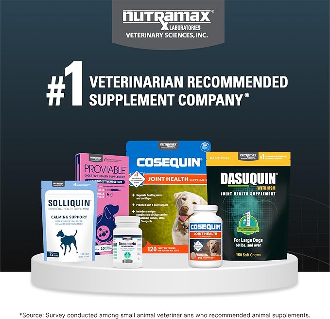 Nutramax Dasuquin for Large Dogs, Joint Health Supplement, Contains Glucosamine for Dogs, Plus Chondroitin, ASU and More, Supports Healthy Joints, Chewable Tablets, 84 Count
