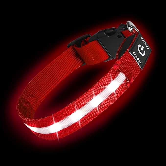 Super Bright LED Dog Collar - Fully Waterproof & Adjustable Glow Collar - USB-C Rechargeable for Night Walking, Safety - Flashing Lighted Collar for Dogs(Red,Large)
