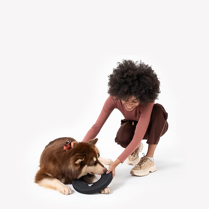 OllyDog Super Flyer | Durable Dog Frisbee | Soft & Lightweight Flying Disc | Gentle on Teeth & Gums | Water-Resistant Outdoor Toy (Raven)