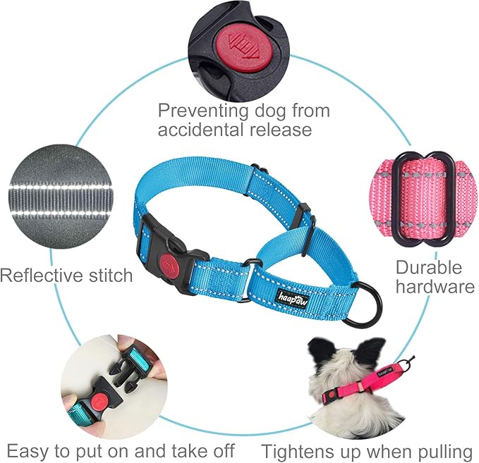 haapaw 2 Packs Martingale Dog Collar with Quick Release Buckle Reflective Dog Training Collars for Small Medium Large Dogs