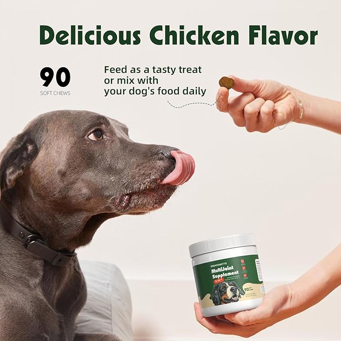 Premium Glucosamine for Dogs — Hip and Joint Care Chews (90 Chews) with MSM, Natural Chondroitin, Collagen, and Omega-3 — Relieve Hip and Joint Pain, Help Improve Mobility Orsacchiotto