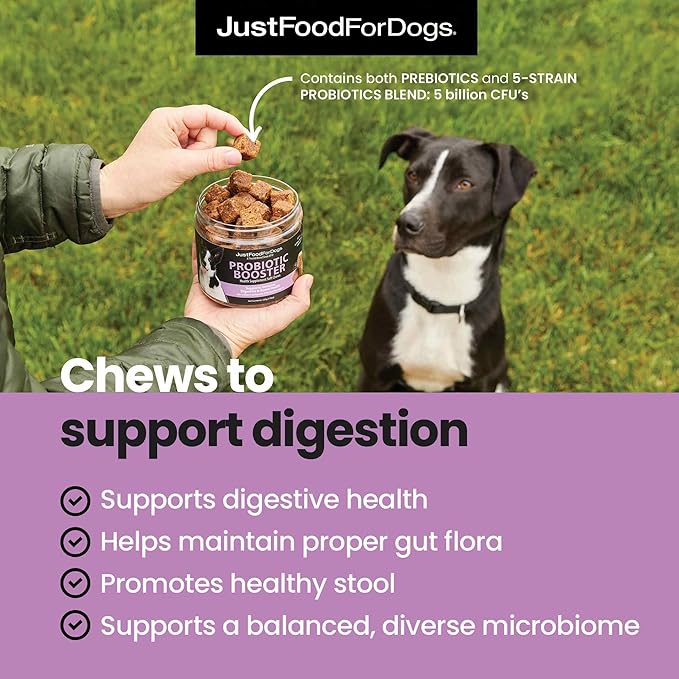 JustFoodForDogs Probiotic Booster Gut Health Soft Chews Supplement for Dogs, Digestive Health Support, Diarrhea, Human Grade Ingredients - 45 Count