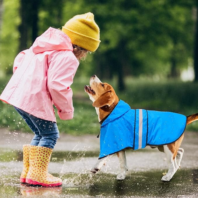 Hooded Dog Raincoat - Reflective Dog Rain Jacket Lightweight Waterproof Rain Coat for Small Medium Large Dogs (Large, Blue)