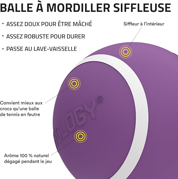 Playology Squeaky Dog Toy | Durable Rubber Interactive Dog Ball | Bacon Scented Fetch Ball for Large Dogs | Floating Dog Toy Made from Non Toxic Materials