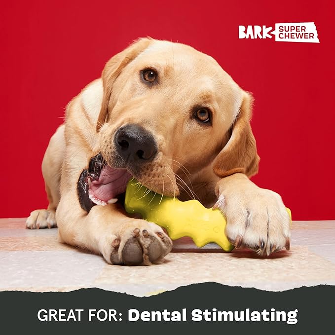 Barkbox Crinkle Fry Dog Toy for Large Dogs, Super Tough Nylon Construction for Aggressive Chewers and Designed for Durable Playtime