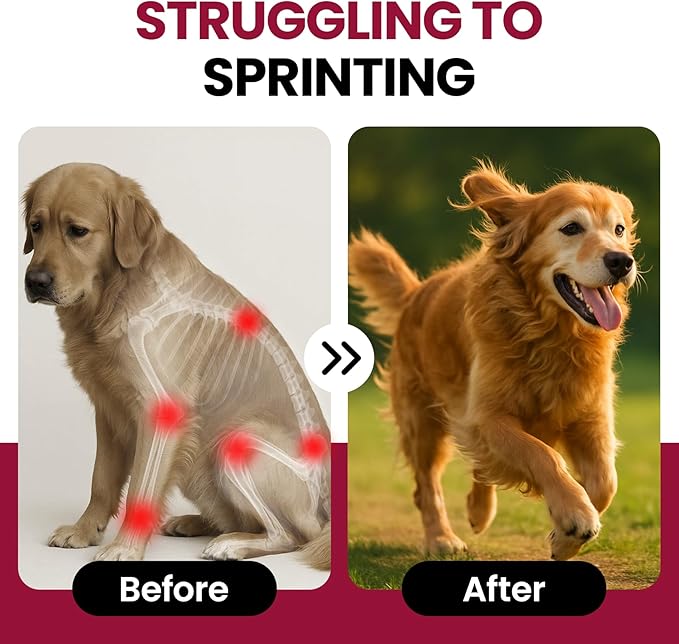 Glucosamine for Dogs Hip and Joint Supplement Chews, Chondroitin Joint Supplement for Dogs, Joint Chews for Dog, Dog Supplement for Joint Pain Relief - 60-Day Satisfaction Guarantee -180 Ct