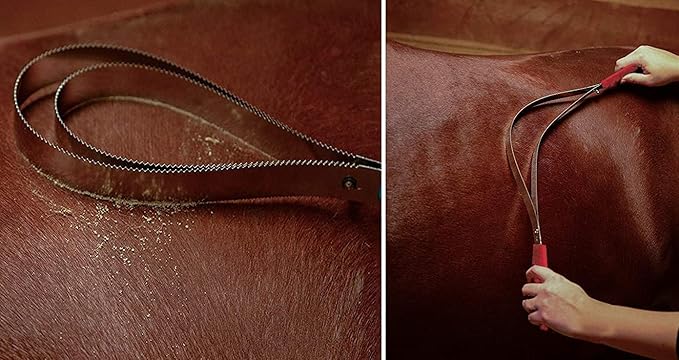 Shedding Blade Horse Brush Scraper Stainless Steel Shed Blade for Dogs (two loops)