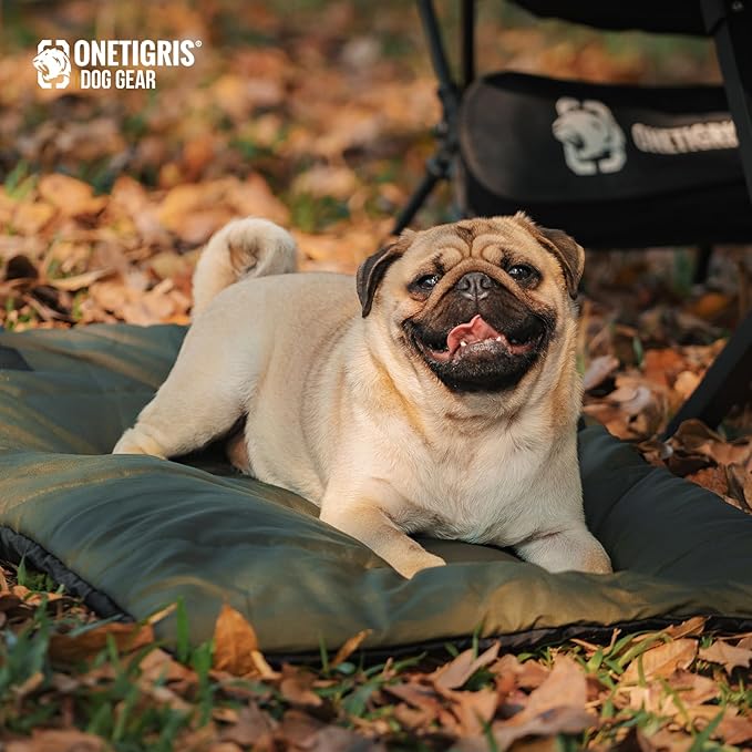 ONETIGRIS Large Dog Bed Washable Matteress Anti Slip Cushion for Pets Sleeping, 3.6ft by 2.2ft Water-Resistant Pet Bed for Indoor Outdoor(Green,S)