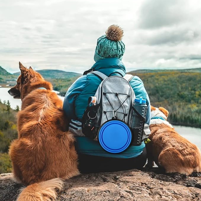 Collapsible Dog Bowl, Lightweight and Portable, Ideal for Travel, Hiking, Camping, and Everyday Use